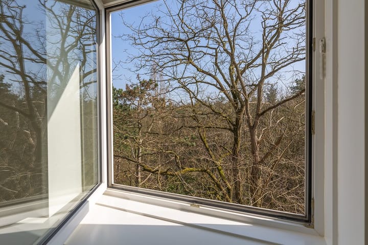 Foto 9 van Lange Heul 728