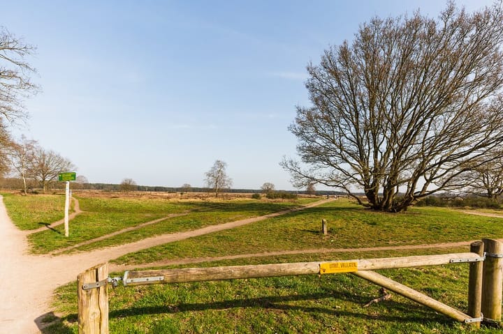 Foto 16 van Lange Heul 728