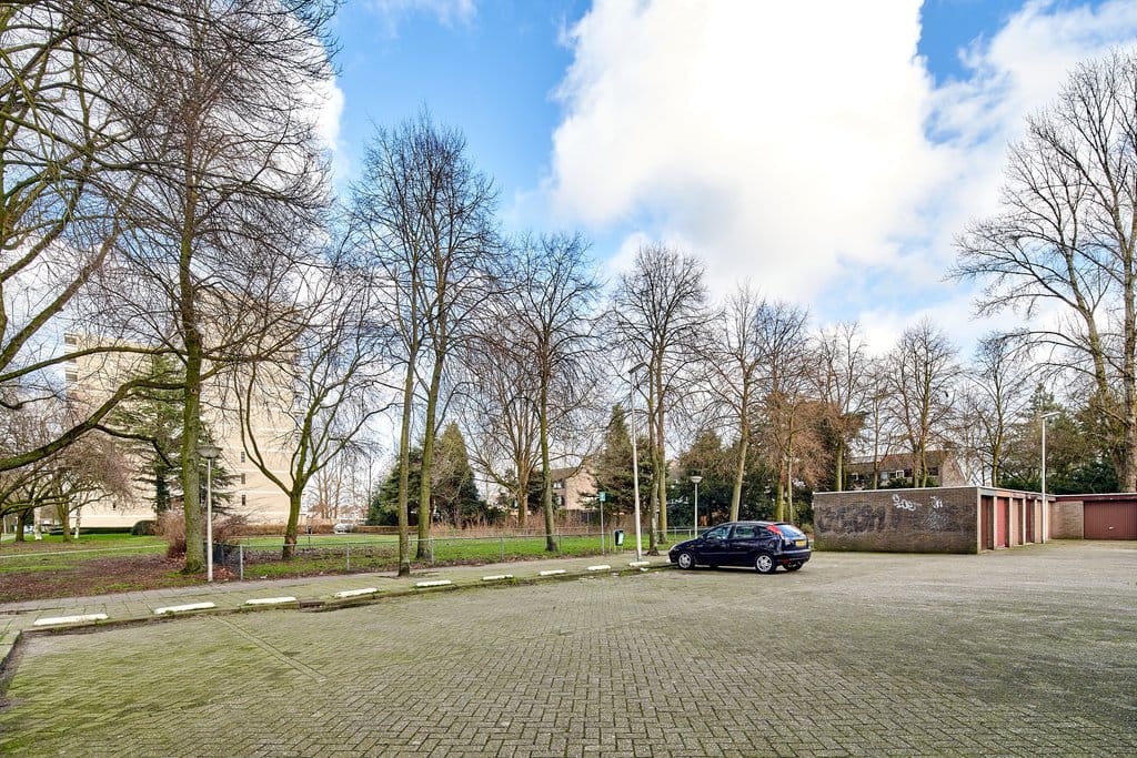 Foto 6 van de Koppele 545