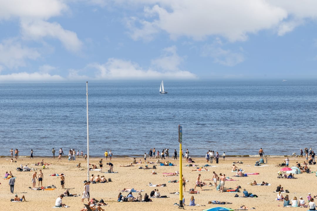 Foto 23 van Vierloper 55