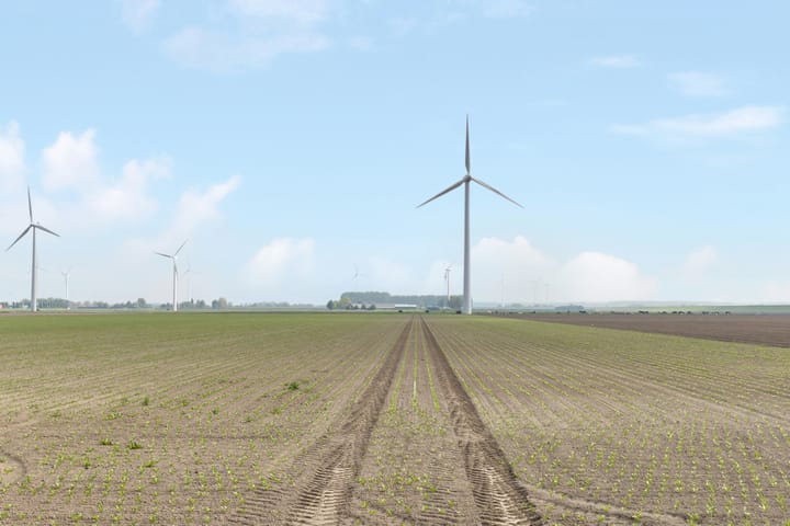 Foto 35 van De Schelp 41