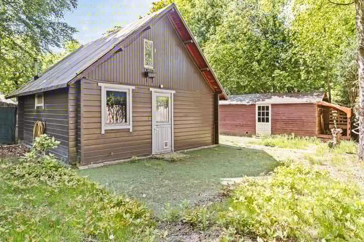 Foto 3 van Hyacinth 149