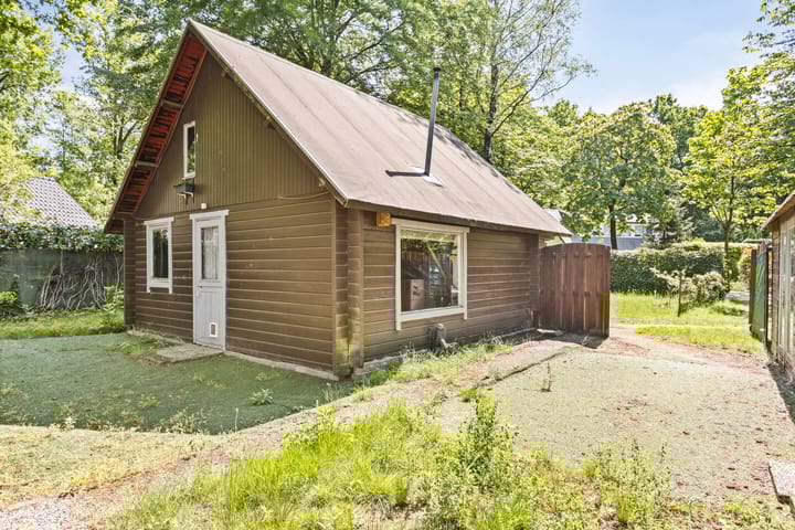 Foto 4 van Hyacinth 149