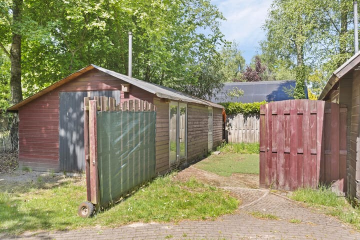 Foto 5 van Hyacinth 149