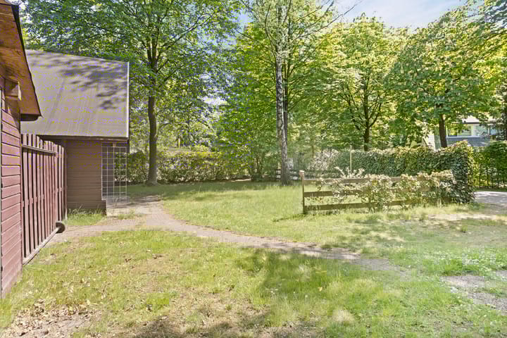 Foto 6 van Hyacinth 149