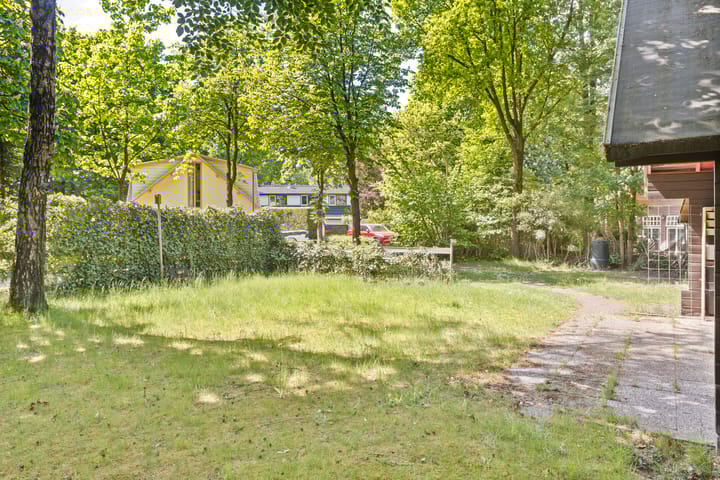 Foto 7 van Hyacinth 149