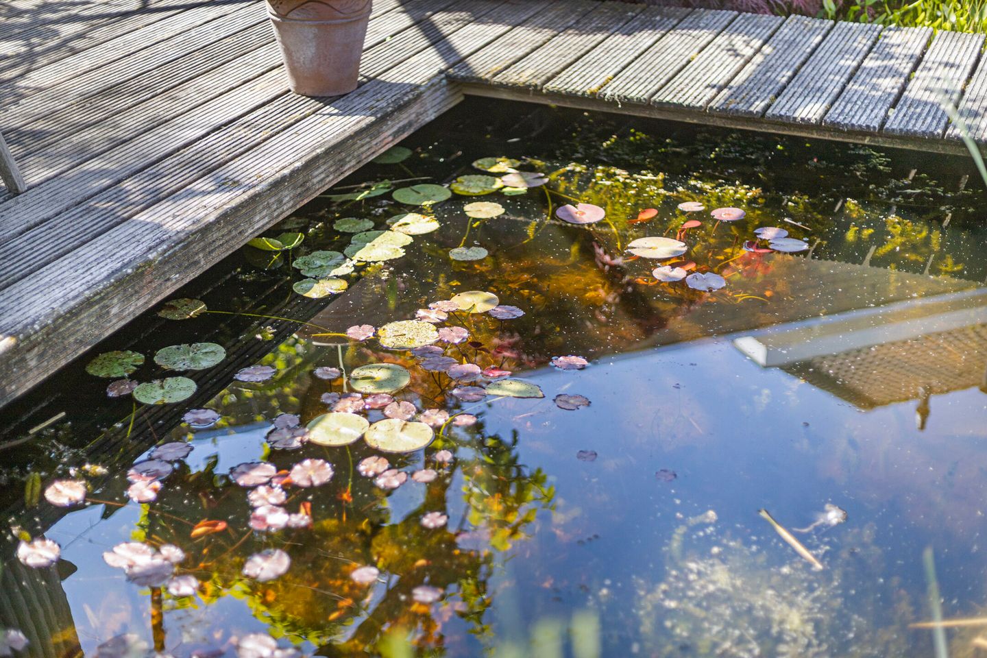 Foto 44 van Houttuinen-Noord 46