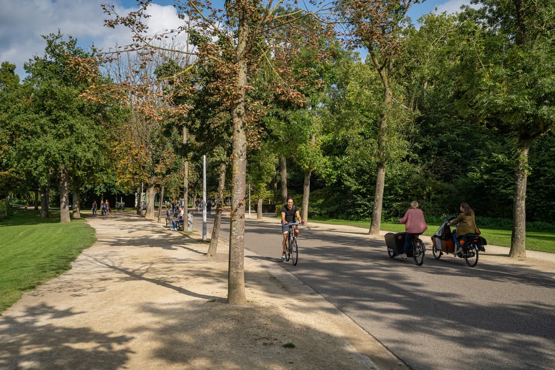 Foto 28 van Jacob Obrechtplein 9-1