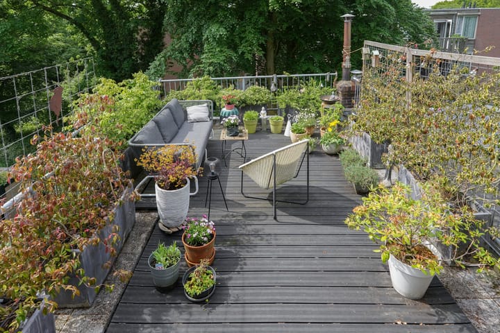 Foto 4 van Ruisdaelstraat 28