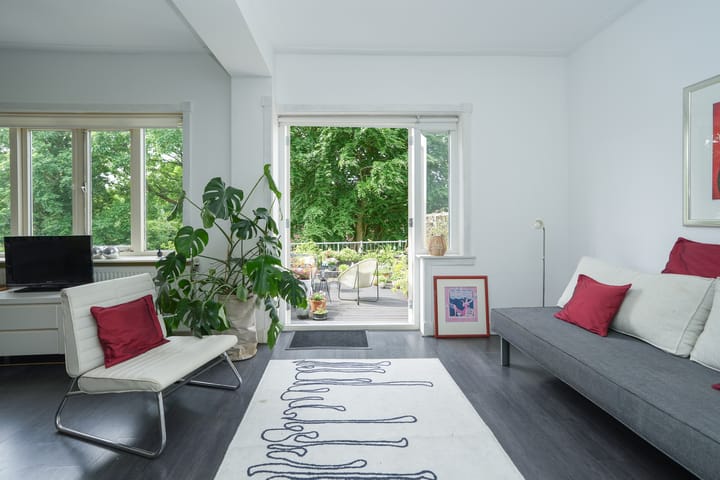 Photo 31 of Ruisdaelstraat 28