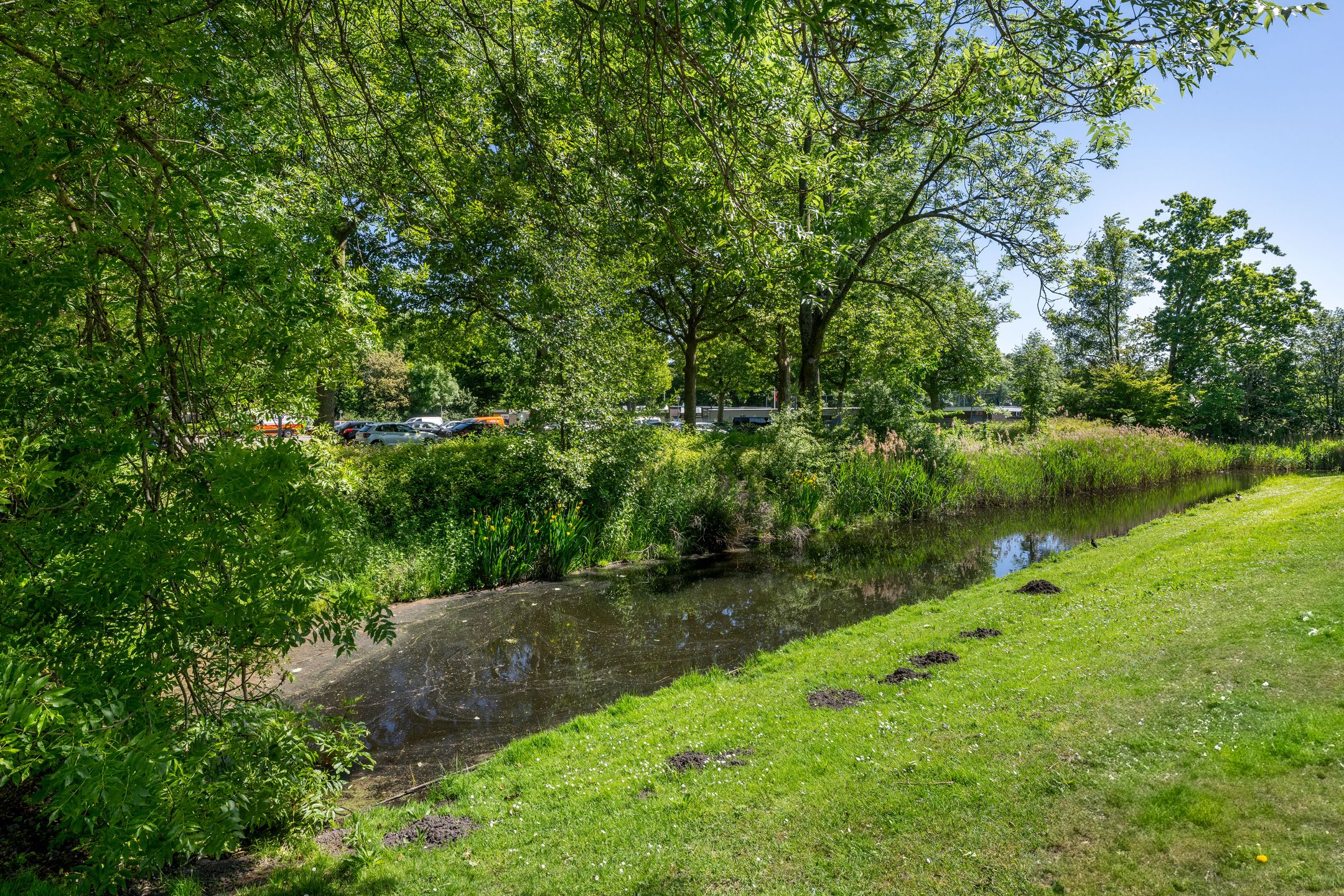 Foto 3 van Populierenlaan 50