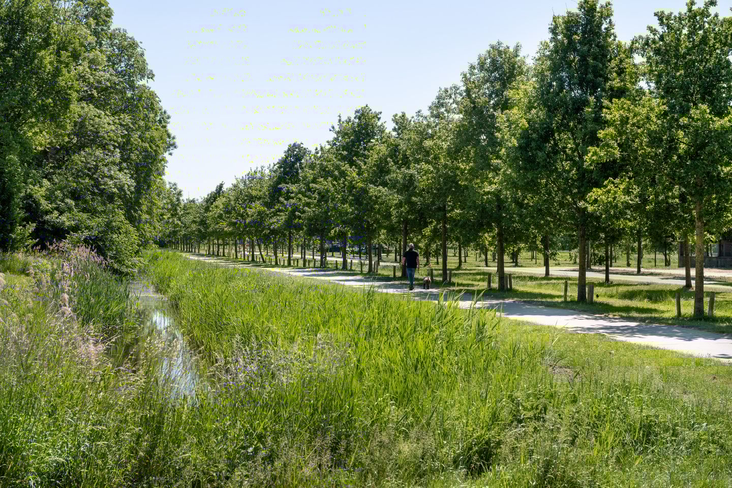 Foto 25 van Populierenlaan 50