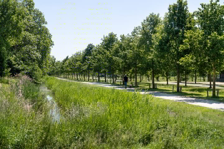 Foto 25 van Populierenlaan 50