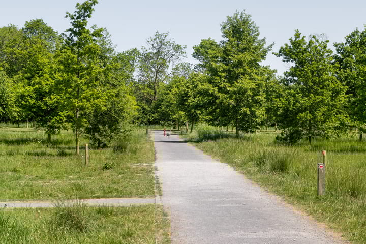 Foto 27 van Populierenlaan 50