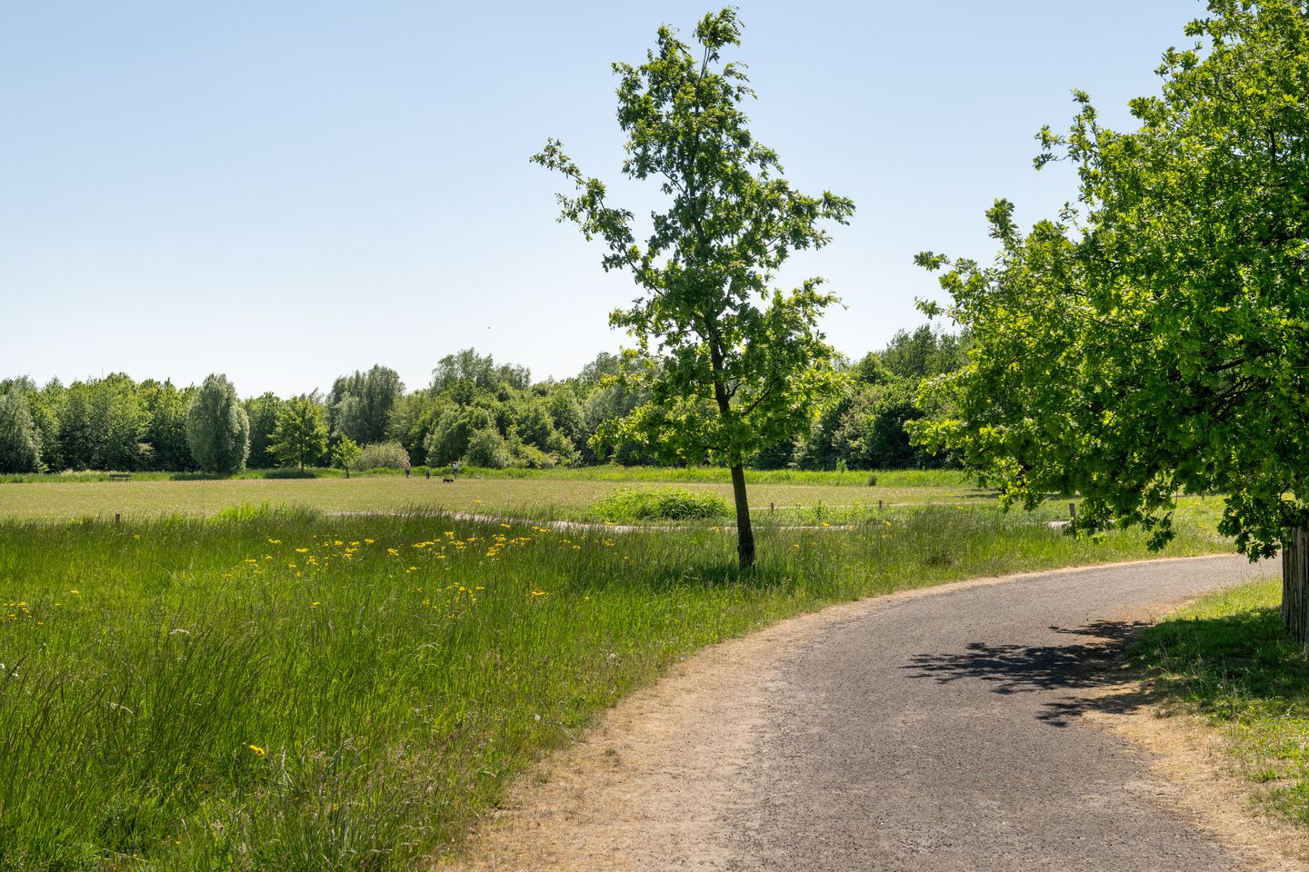 Foto 29 van Populierenlaan 50