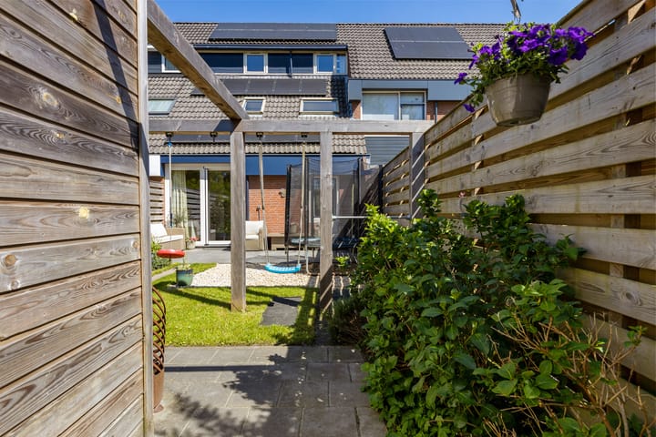 Foto 41 van Zicht 41