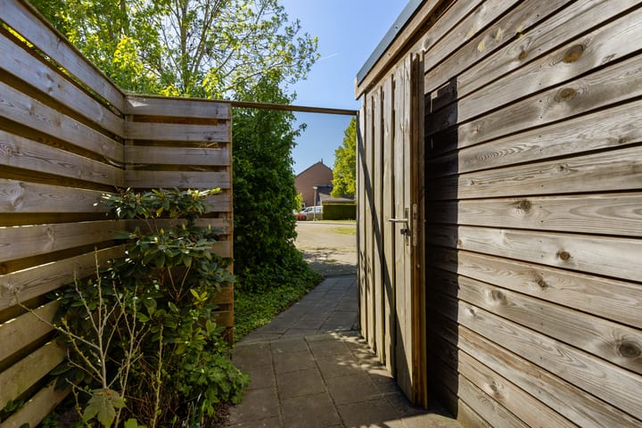 Foto 42 van Zicht 41