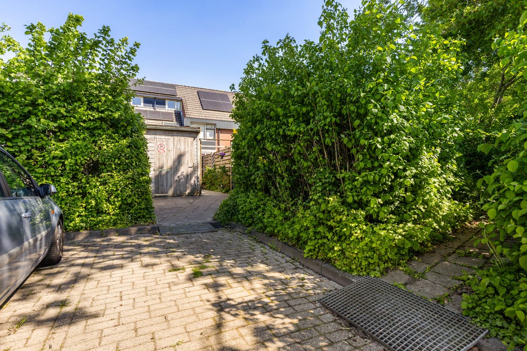 Foto 43 van Zicht 41