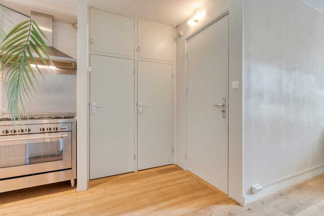 Foto 11 van Plantage Muidergracht 55-2