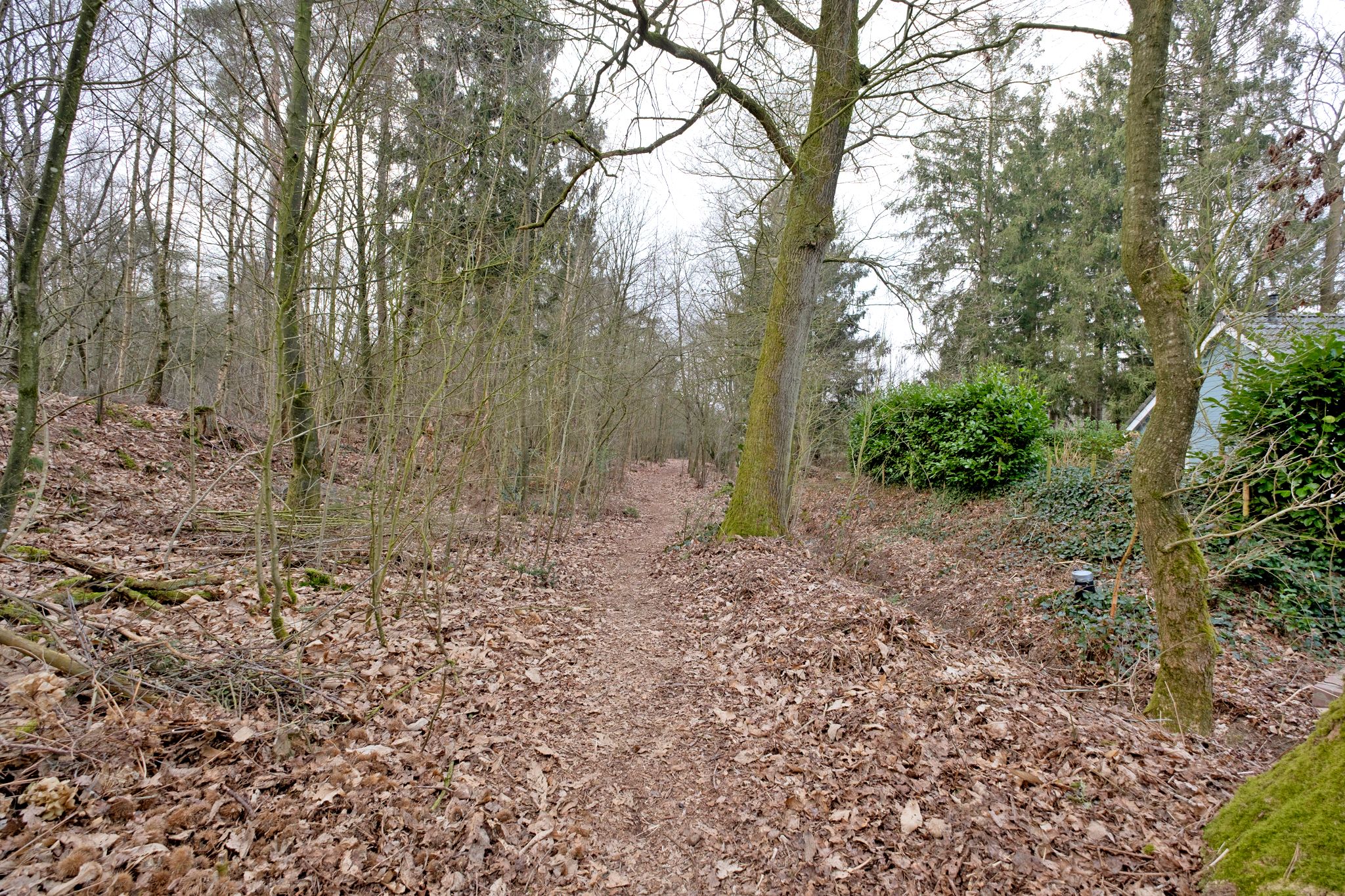 Foto 3 van Moraineweg 20-14