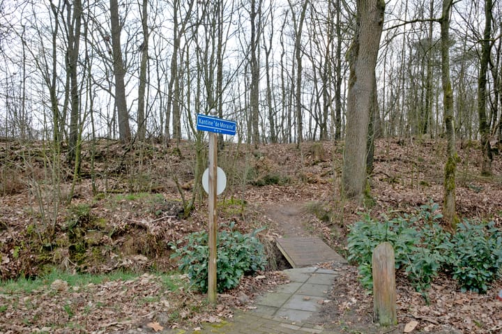 Foto 4 van Moraineweg 20-14