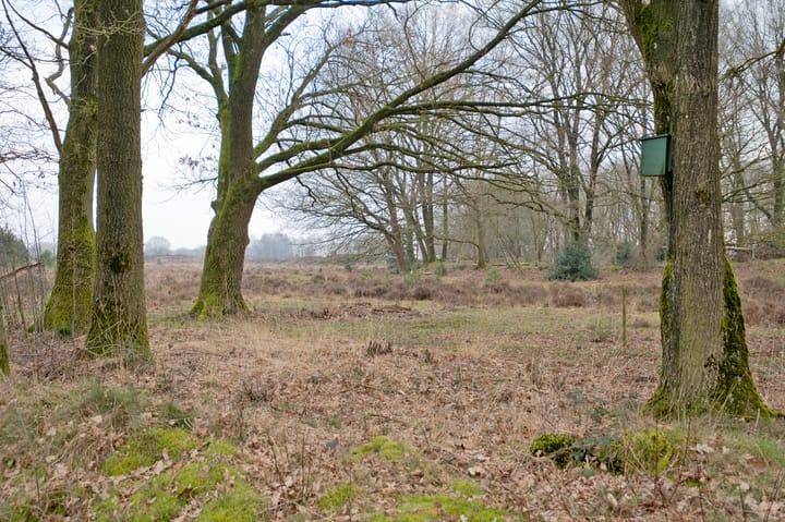 Foto 5 van Moraineweg 20-14