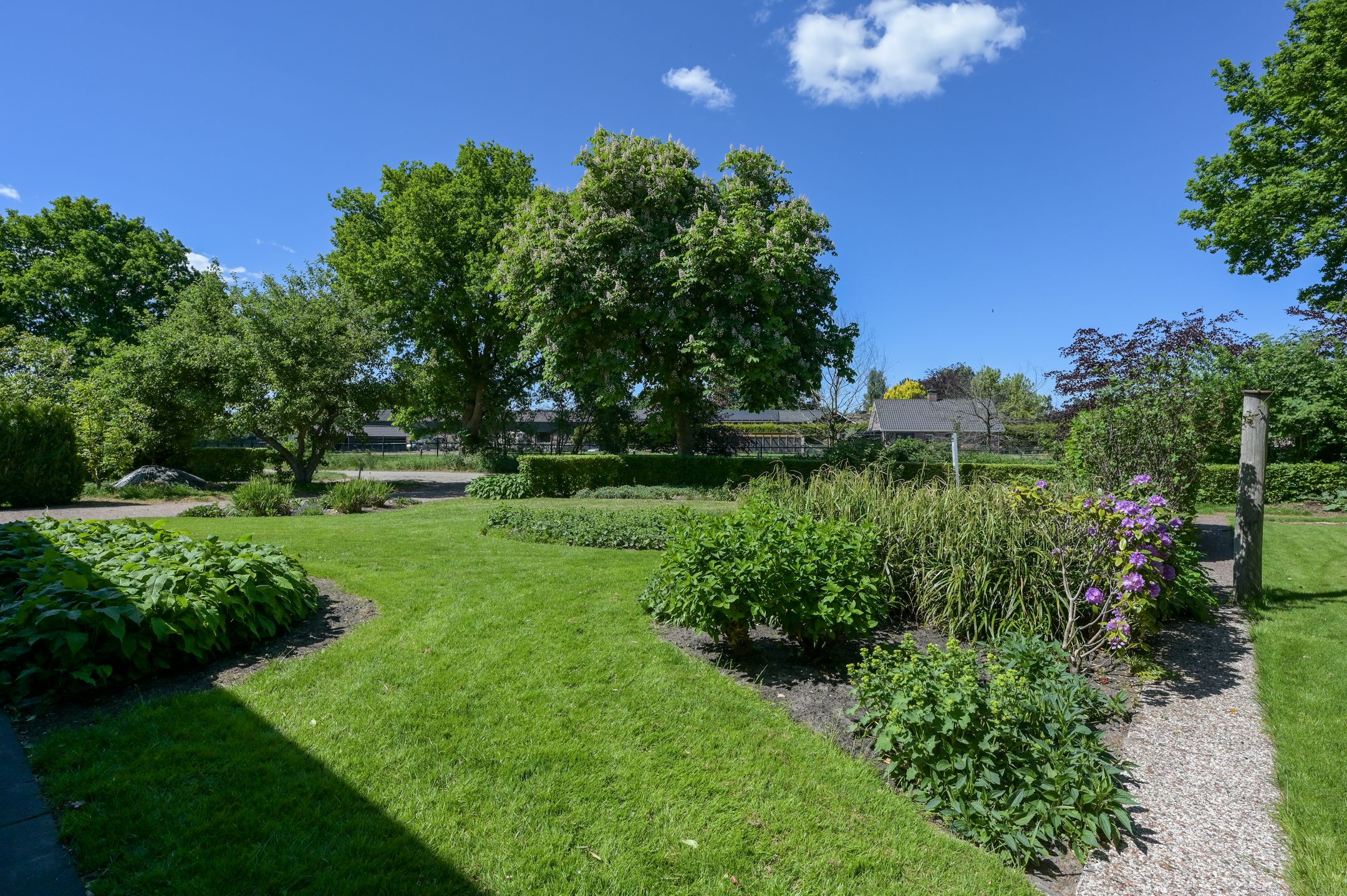 Photo 3 of Huinerwal 8