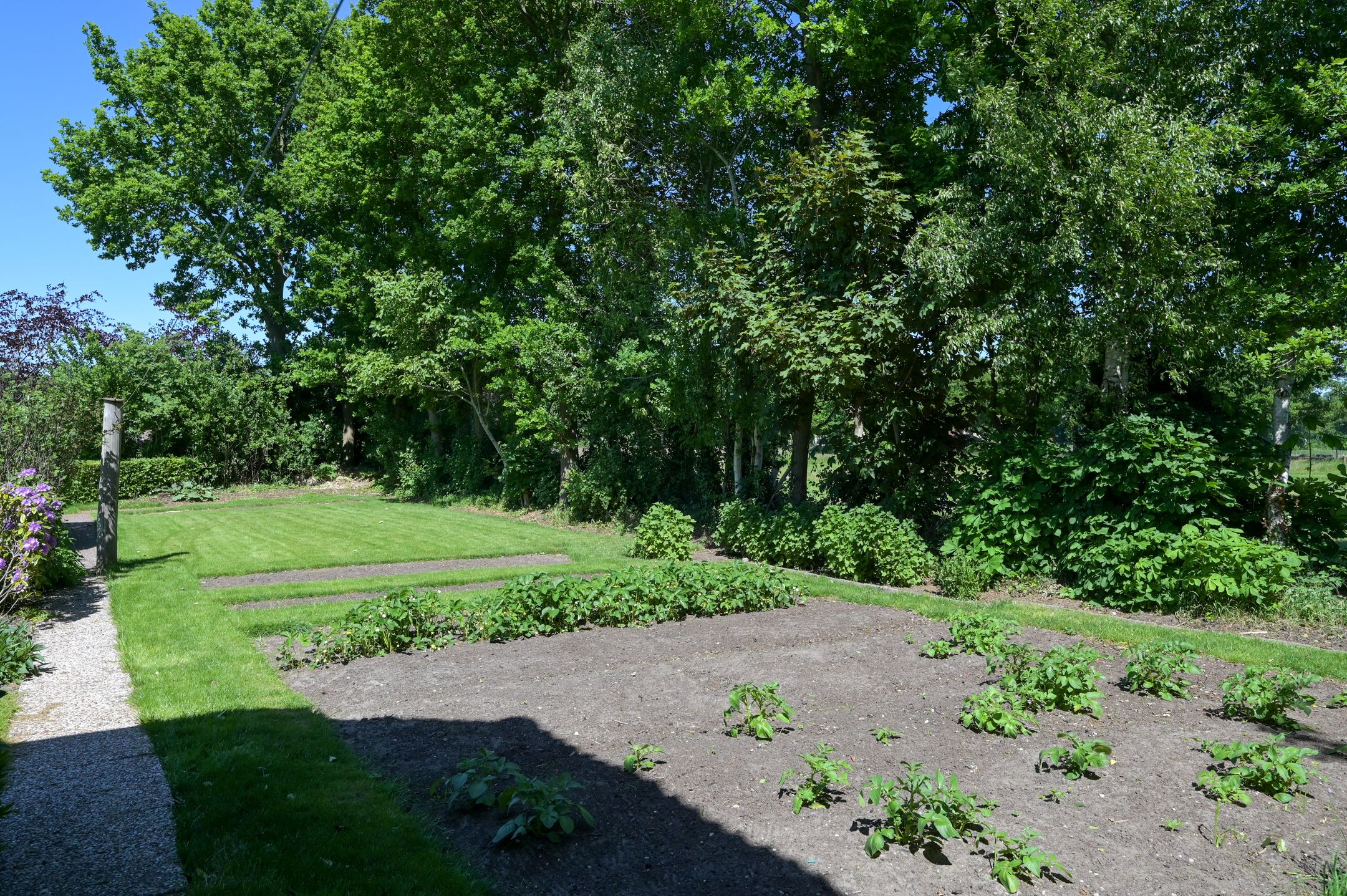 Photo 42 of Huinerwal 8