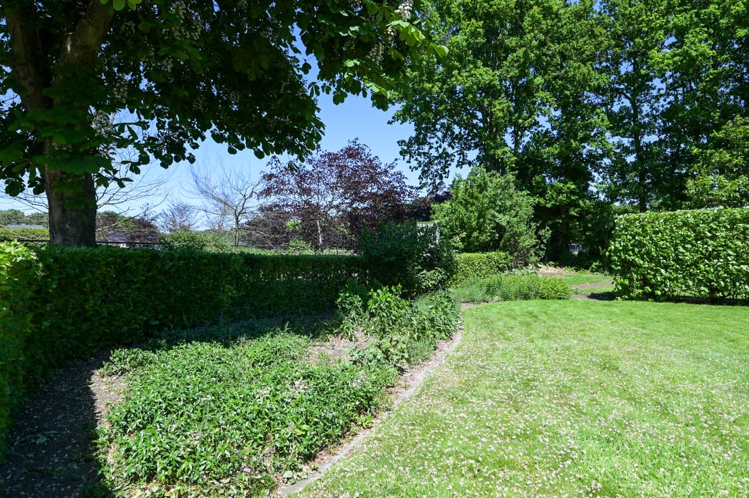 Photo 47 of Huinerwal 8