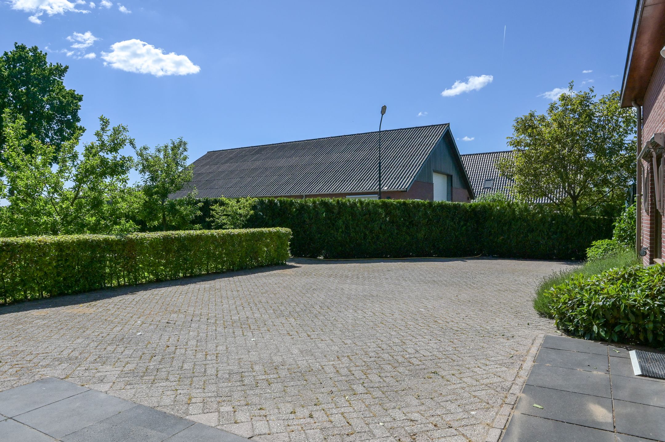 Photo 48 of Huinerwal 8