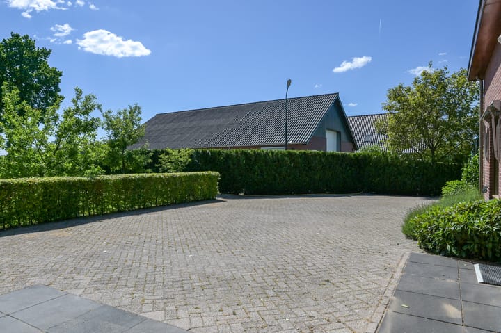 Foto 48 van Huinerwal 8