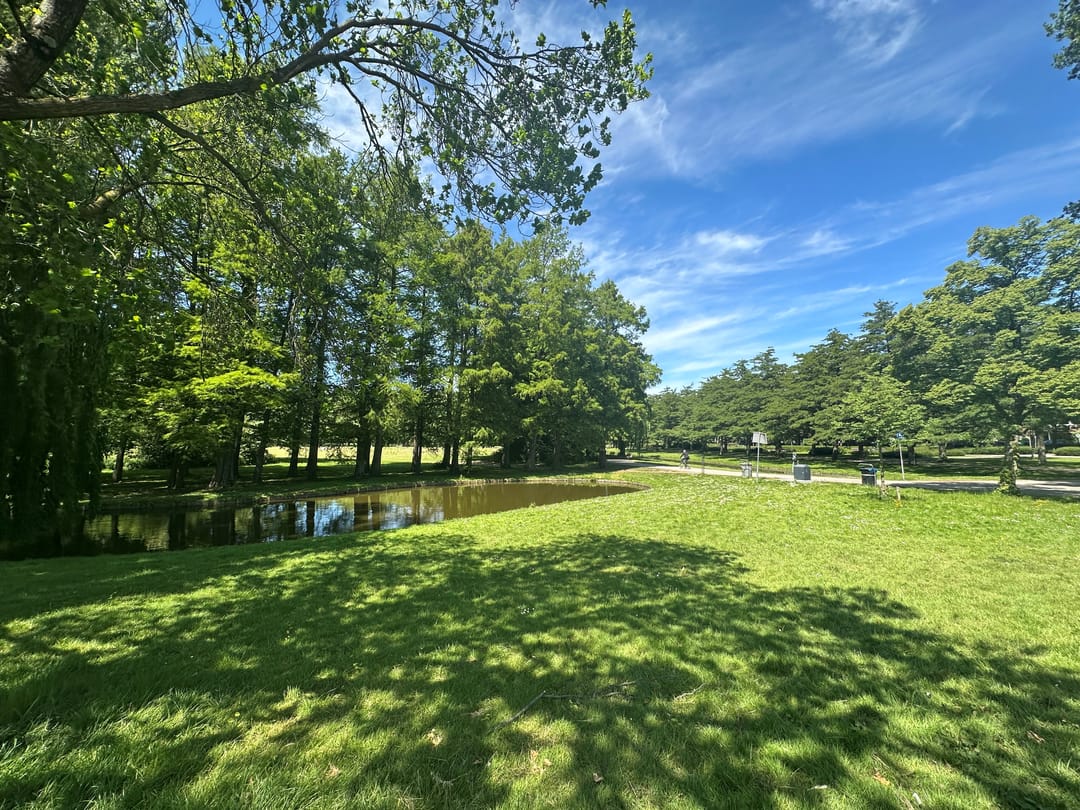 Foto 31 van Stadhoudersweg 153-C