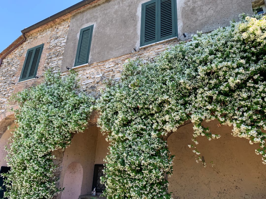 Photo 7 of Orte Villa