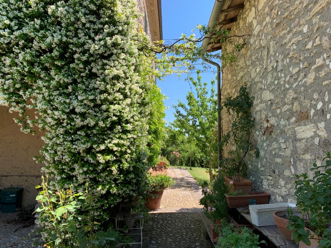 Photo 11 of Orte Villa