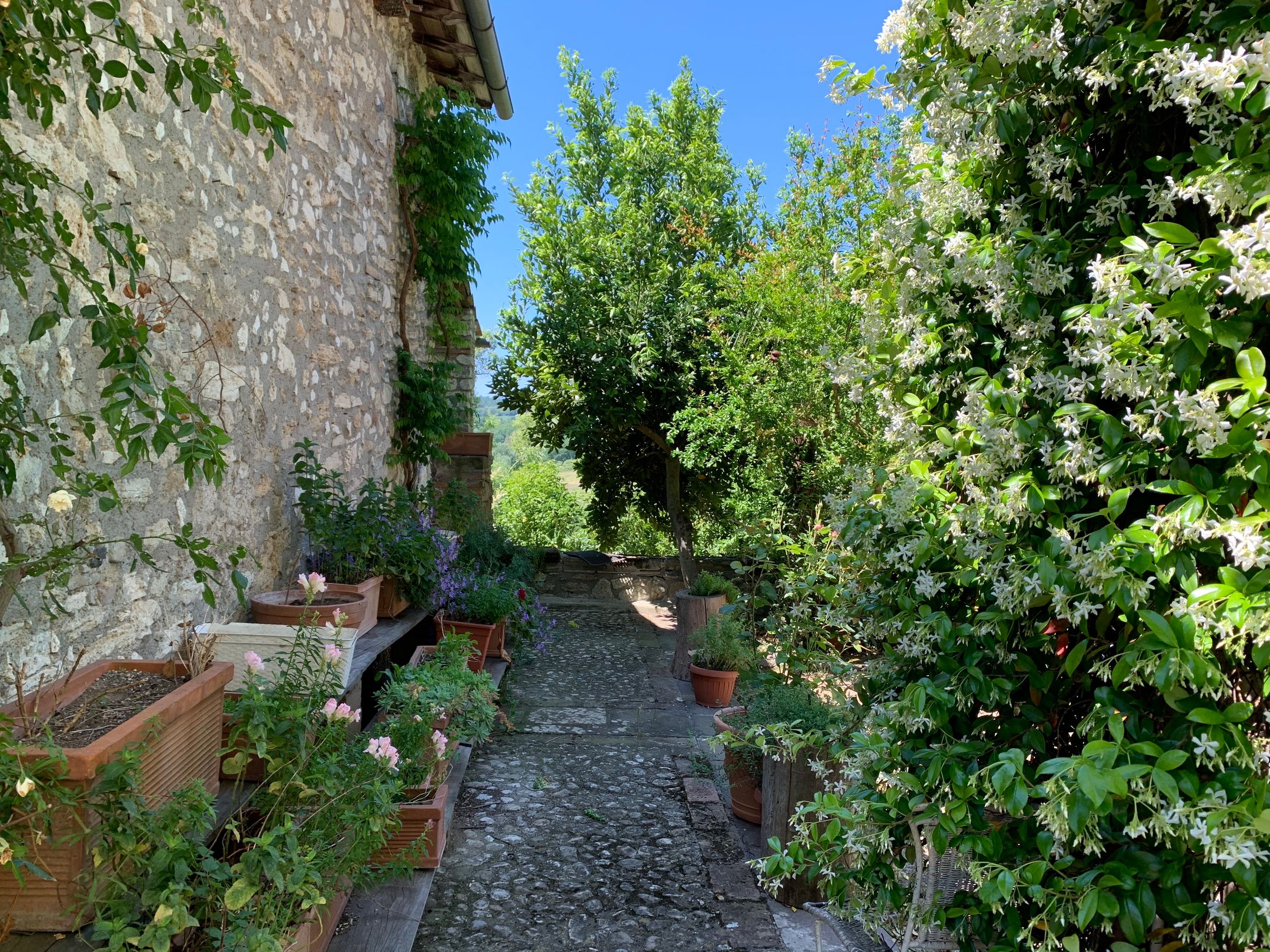 Photo 12 of Orte Villa