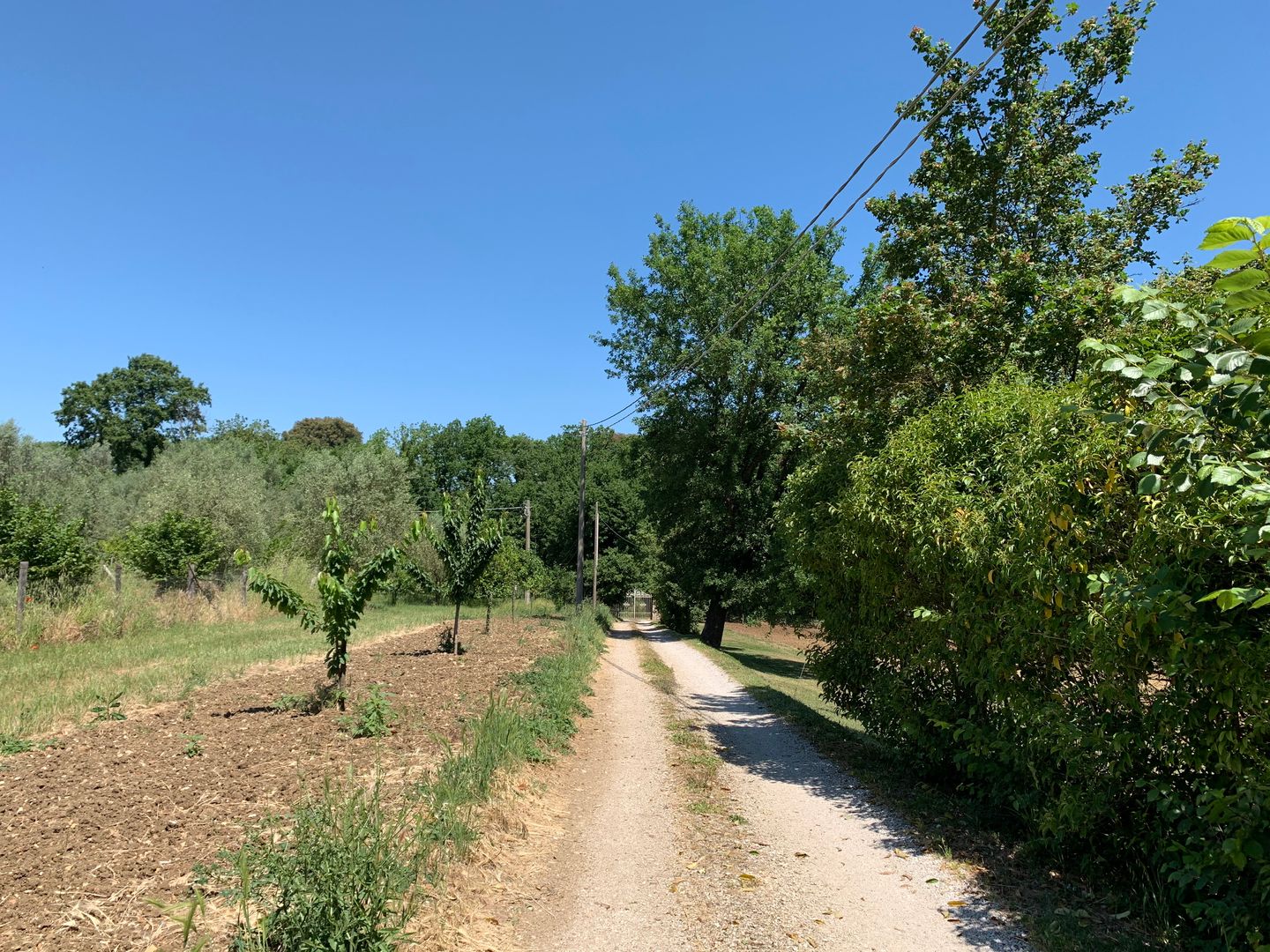 Photo 14 of Orte Villa