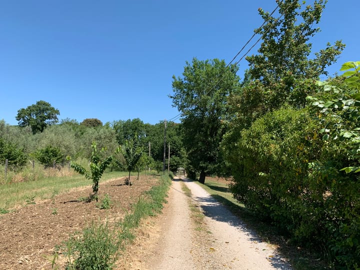 Foto 14 van Orte Villa