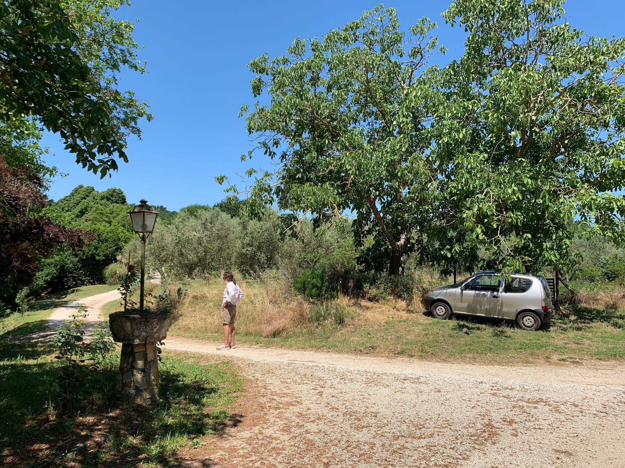 Photo 15 of Orte Villa