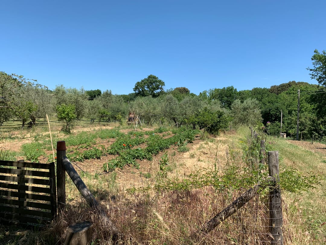 Photo 16 of Orte Villa