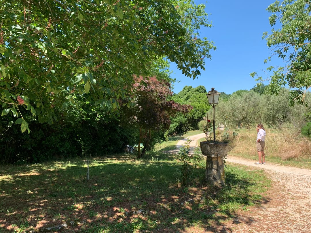 Photo 17 of Orte Villa