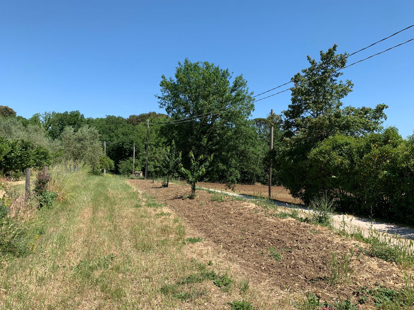 Photo 20 of Orte Villa