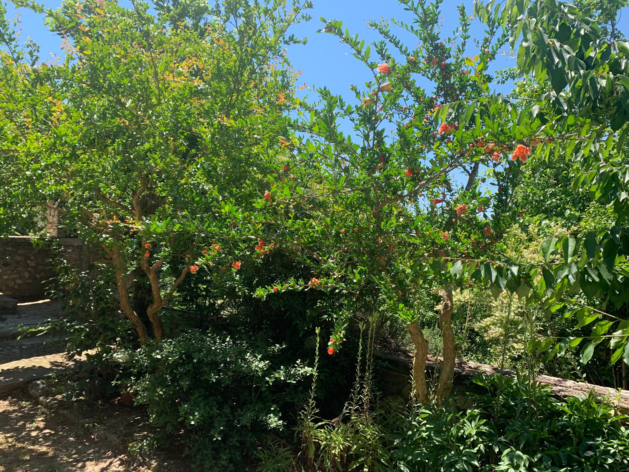 Photo 21 of Orte Villa