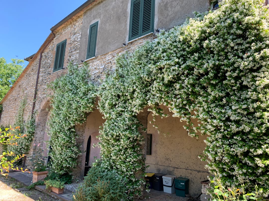 Photo 22 of Orte Villa