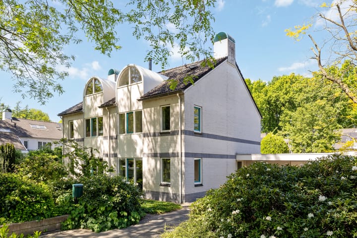 Foto 2 van Meidoorn 19