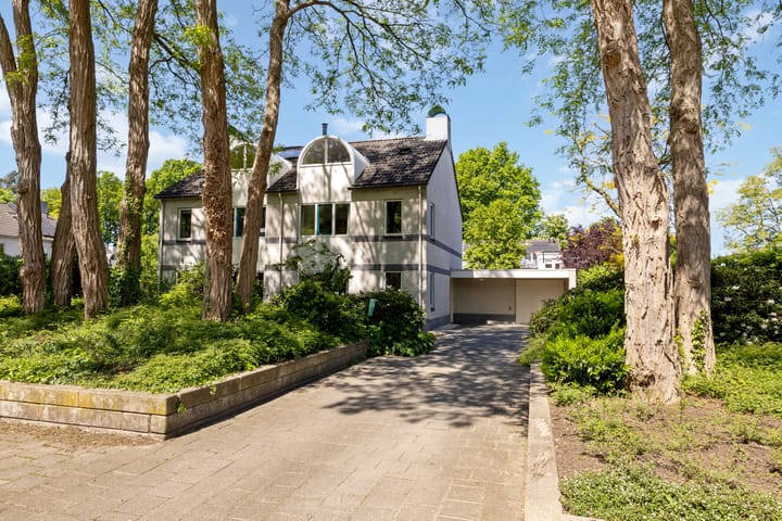 Foto 3 van Meidoorn 19