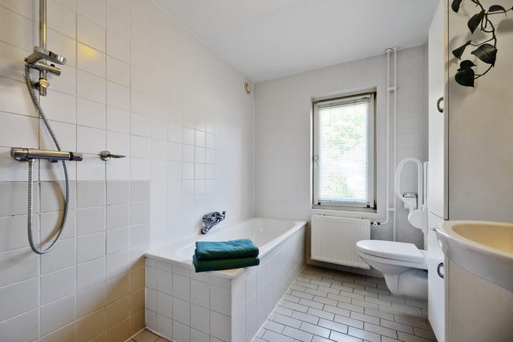 Foto 19 van Meidoorn 19