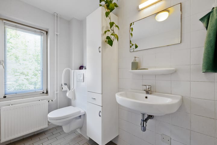 Foto 20 van Meidoorn 19