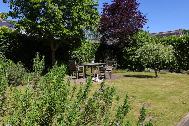 Foto 29 van Meidoorn 19