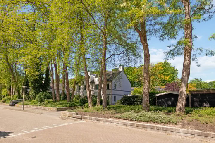 Foto 31 van Meidoorn 19