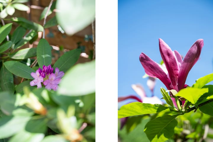 Foto 34 van Lambertusstraat 122